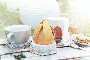 創意造型的花茶包裝設計